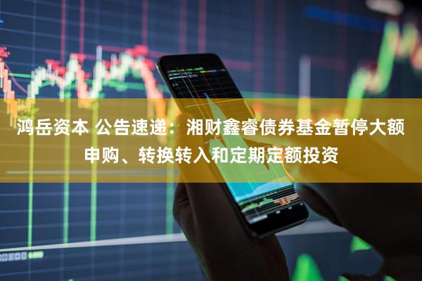 鸿岳资本 公告速递：湘财鑫睿债券基金暂停大额申购、转换转入和定期定额投资