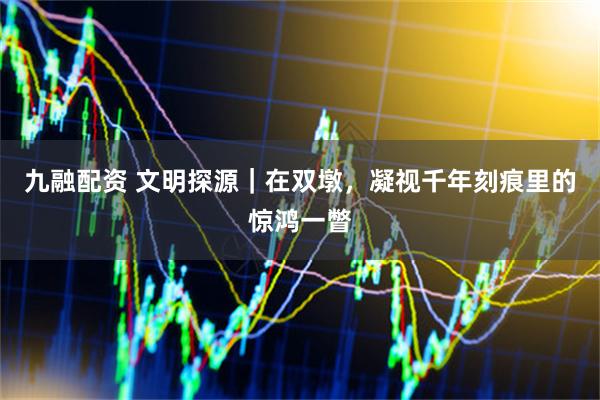 九融配资 文明探源｜在双墩，凝视千年刻痕里的惊鸿一瞥