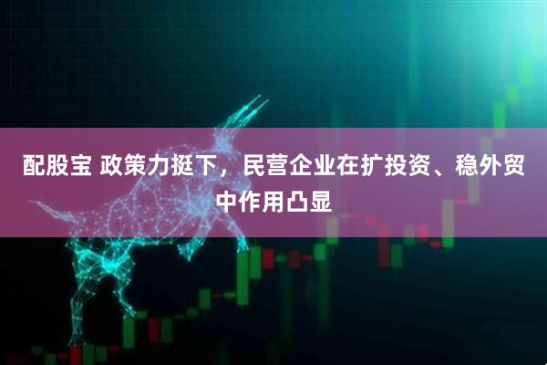配股宝 政策力挺下，民营企业在扩投资、稳外贸中作用凸显