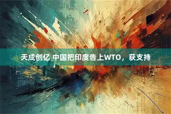 天成创亿 中国把印度告上WTO，获支持