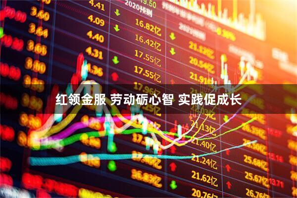 红领金服 劳动砺心智 实践促成长